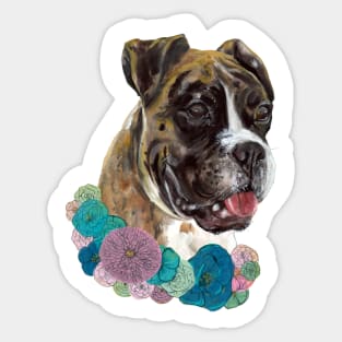 Beautiful boxer Sticker